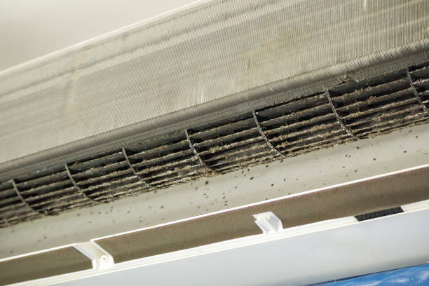 Best Emergency Air Duct Cleaning  in Bismarck, ND